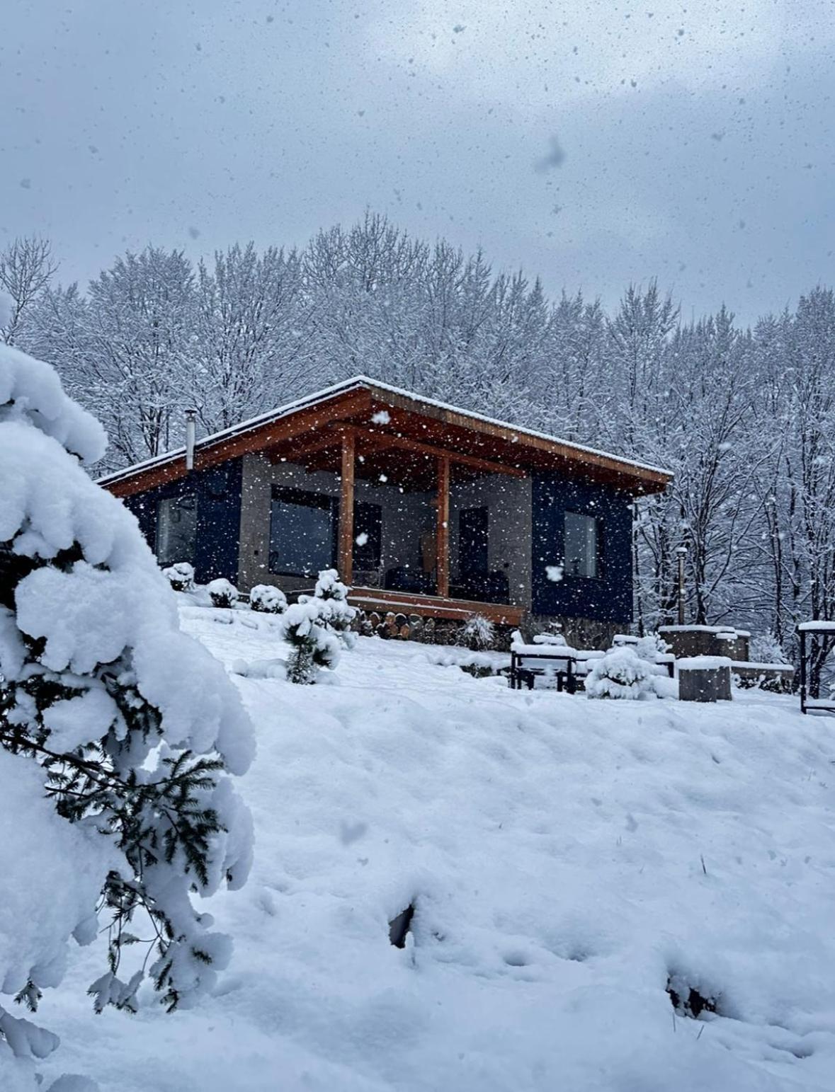 Holiday home гірські будиночки Zhdeniievo