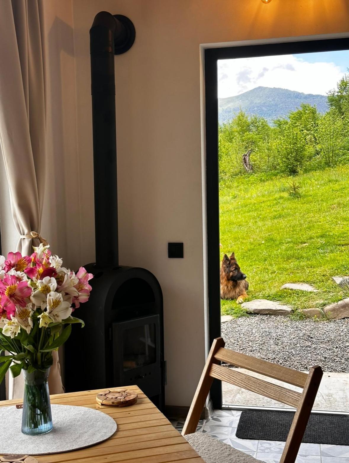 Holiday home гірські будиночки *